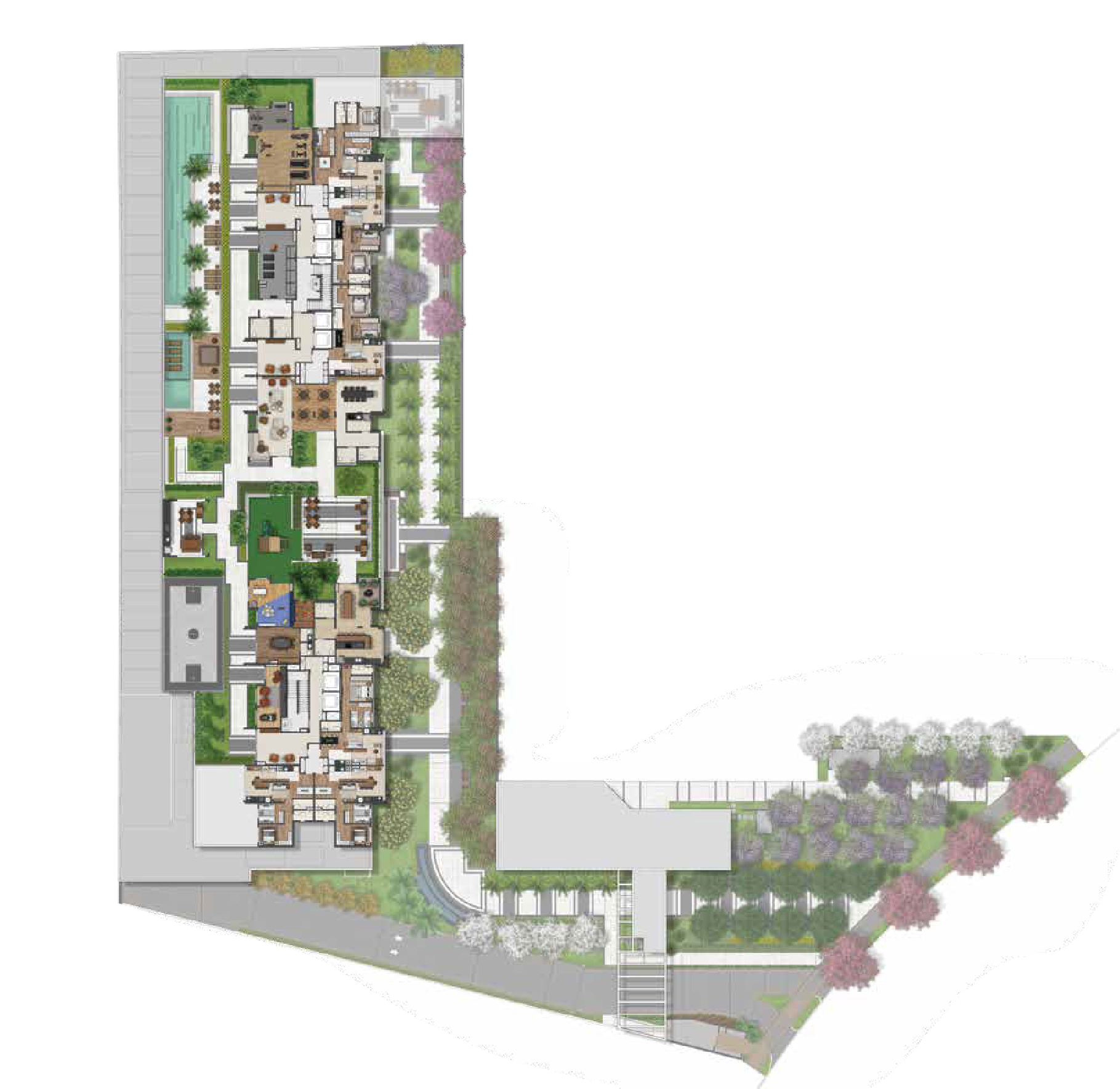 Planta 6